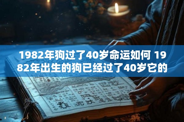 1982年狗过了40岁命运如何 1982年出生的狗已经过了40岁它的命运会发生什么变化 1982年狗过了40岁命运如何 1982年出生的狗已经过了40岁它的命运会发生什么变化