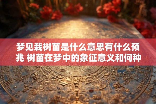 梦见栽树苗是什么意思有什么预兆 树苗在梦中的象征意义和何种预示 梦见栽树苗是什么意思有什么预兆 树苗在梦中的象征意义和何种预示