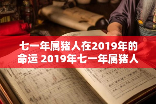 七一年属猪人在2019年的命运 2019年七一年属猪人的命运如何 七一年属猪人在2019年的命运 2019年七一年属猪人的命运如何