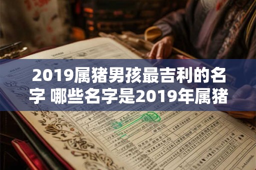 2019属猪男孩最吉利的名字 哪些名字是2019年属猪男孩最吉利的