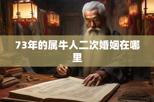 73年的属牛人二次婚姻在哪里