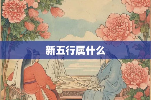 新五行属什么