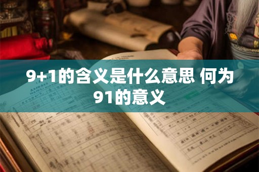 9+1的含义是什么意思 何为91的意义