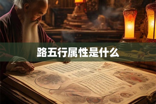 路五行属性是什么