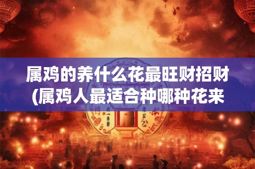 属鸡的养什么花最旺财招财(属鸡人最适合种哪种花来招财?) 属鸡的养什么花最旺财招财(属鸡人最适合种哪种花来招财?)