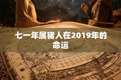 七一年属猪人在2019年的命运