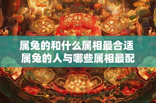 属兔的和什么属相最合适 属兔的人与哪些属相最配
