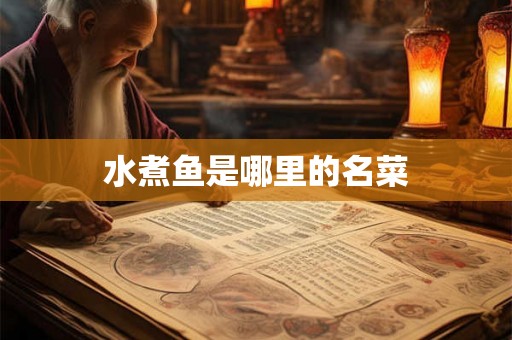 水煮鱼是哪里的名菜