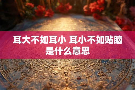耳大不如耳小 耳小不如贴脑是什么意思
