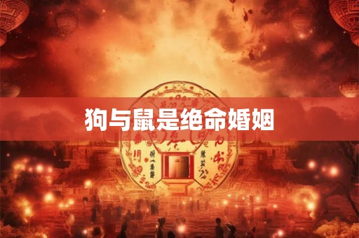 狗与鼠是绝命婚姻 狗与鼠是绝命婚姻