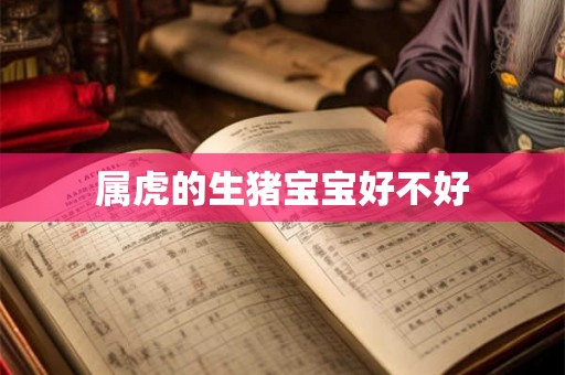 属虎的生猪宝宝好不好