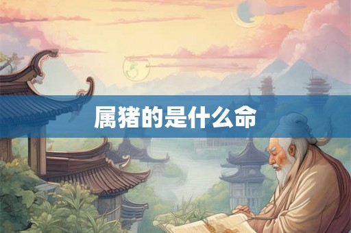 属猪的是什么命 属猪的是什么命