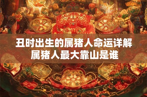 丑时出生的属猪人命运详解 属猪人最大靠山是谁