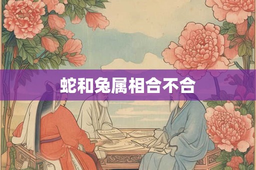 蛇和兔属相合不合