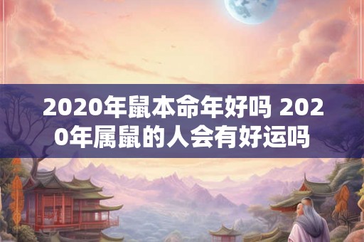 2020年鼠本命年好吗 2020年属鼠的人会有好运吗