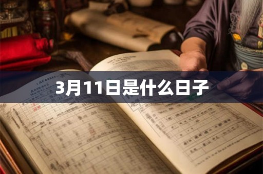 3月11日是什么日子