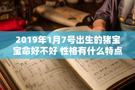 2019年1月7号出生的猪宝宝命好不好 性格有什么特点