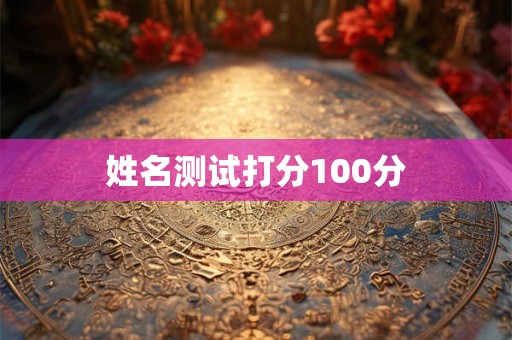 姓名测试打分100分