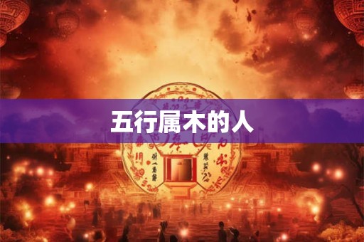 五行属木的人