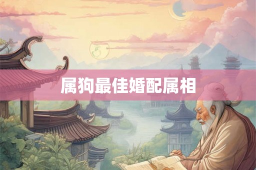 属狗最佳婚配属相