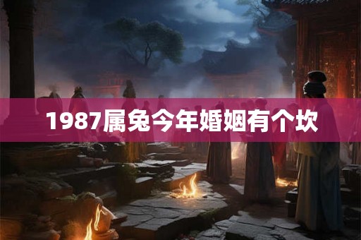 1987属兔今年婚姻有个坎 1987属兔今年婚姻有个坎