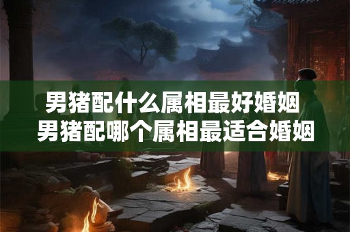 男猪配什么属相最好婚姻 男猪配哪个属相最适合婚姻