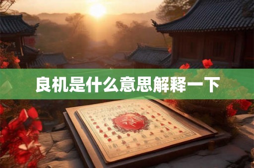 良机是什么意思解释一下