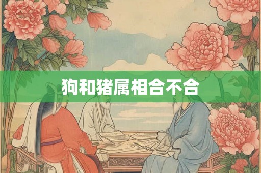 狗和猪属相合不合 狗和猪属相合不合