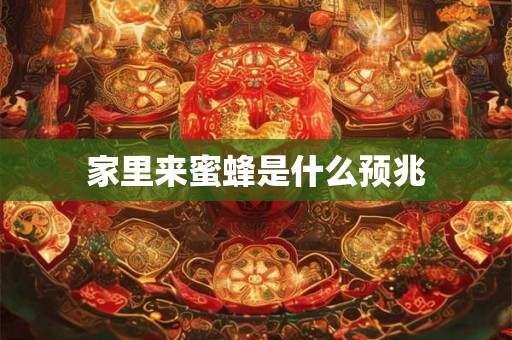 家里来蜜蜂是什么预兆