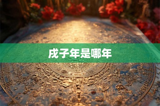 戌子年是哪年