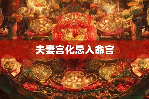 夫妻宫化忌入命宫