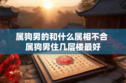 属狗男的和什么属相不合 属狗男住几层楼最好
