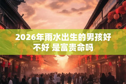 2026年雨水出生的男孩好不好 是富贵命吗