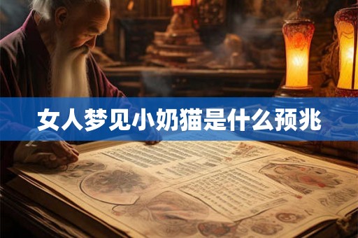 女人梦见小奶猫是什么预兆