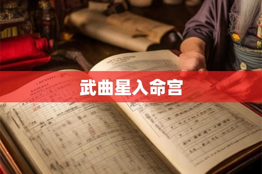 武曲星入命宫