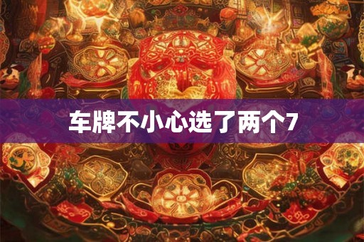 车牌不小心选了两个7