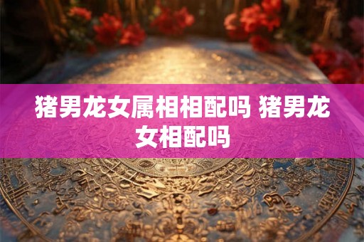 猪男龙女属相相配吗 猪男龙女相配吗