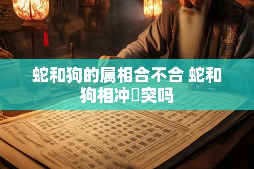 蛇和狗的属相合不合 蛇和狗相冲衝突吗