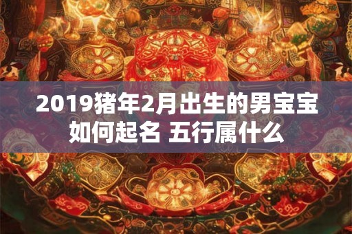 2019猪年2月出生的男宝宝如何起名 五行属什么