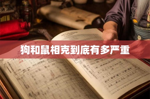 狗和鼠相克到底有多严重