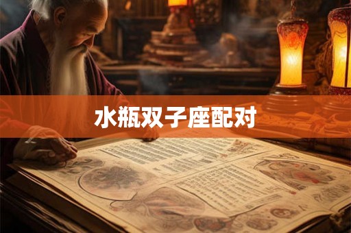水瓶双子座配对