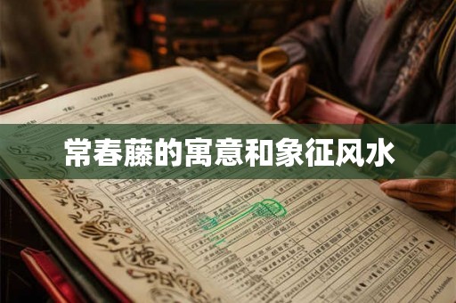 常春藤的寓意和象征风水
