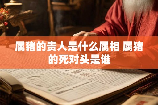 属猪的贵人是什么属相 属猪的死对头是谁