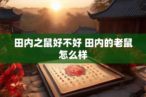 田内之鼠好不好 田内的老鼠怎么样