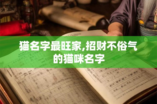 猫名字最旺家,招财不俗气的猫咪名字