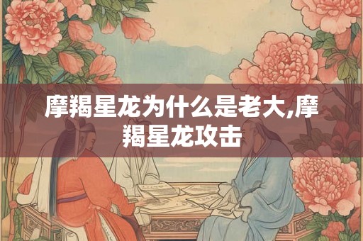 摩羯星龙为什么是老大,摩羯星龙攻击