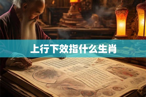 上行下效指什么生肖