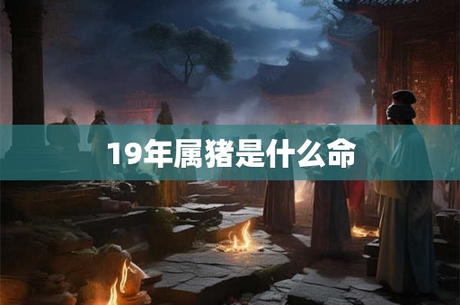 19年属猪是什么命