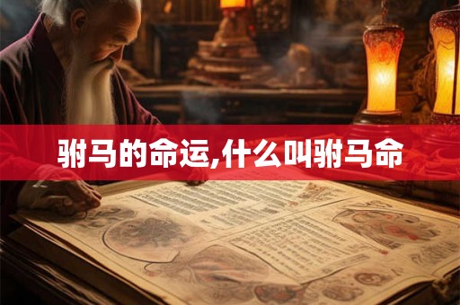 驸马的命运,什么叫驸马命