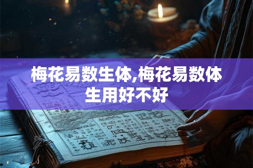 梅花易数生体,梅花易数体生用好不好